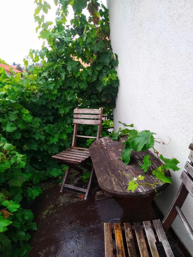 Apartment Telc Hradecka *