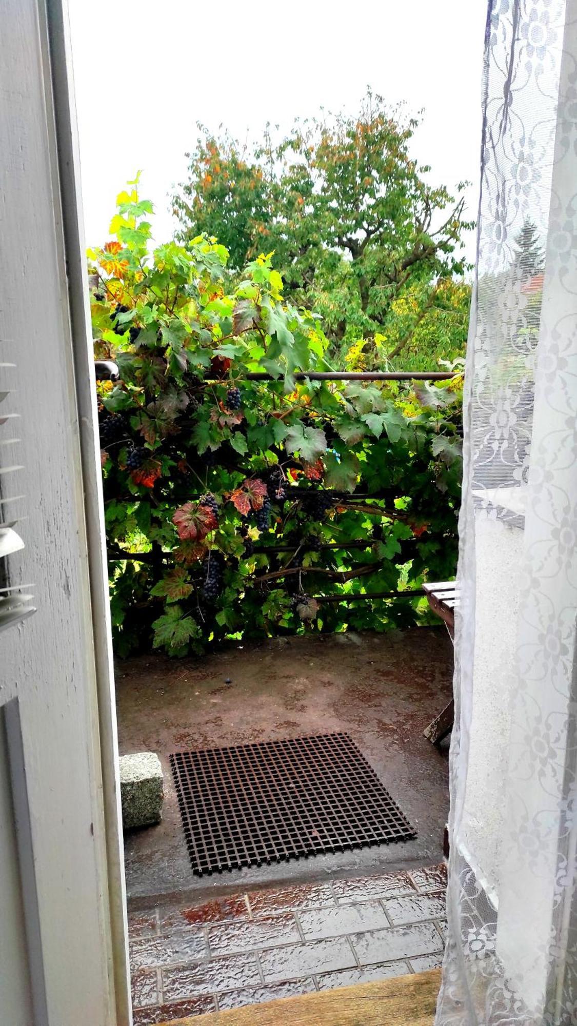 Apartment Telc Hradecka *