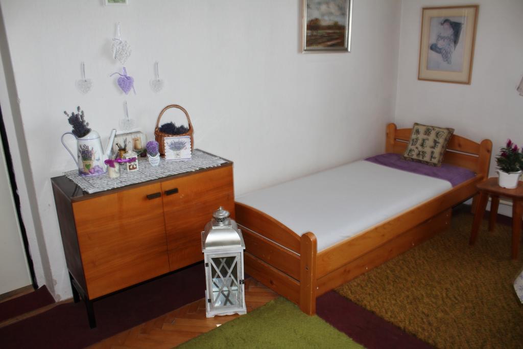 Apartment Apartment Telc Hradecka Telc